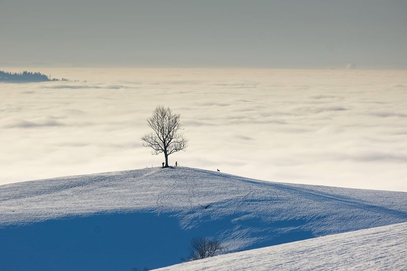 Wizardly landscapes